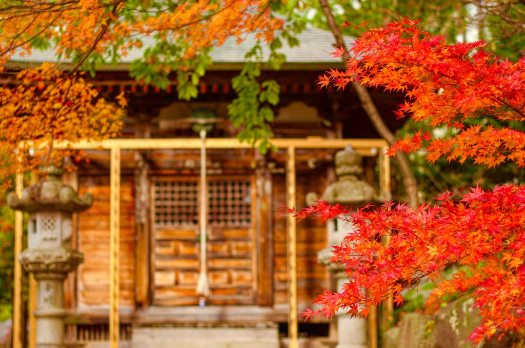紅葉の中に佇む神社
