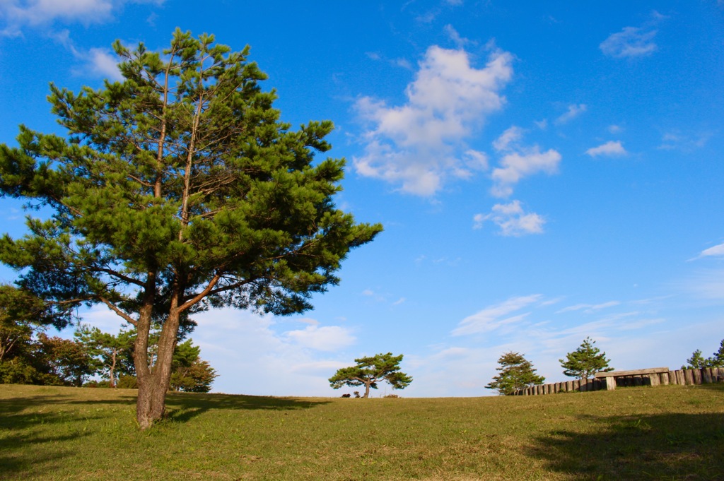 背あぶり山の山頂
