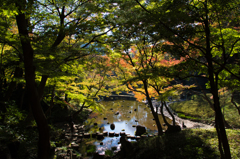 日本庭園