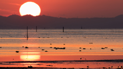 海岸の夕焼け