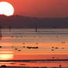 海岸の夕焼け