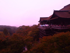 PA010006_kai