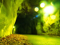 楯岩鬼怒姫神社へのトンネル