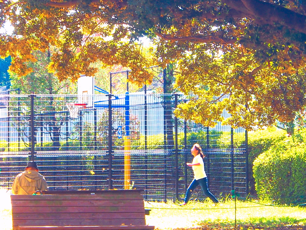 昭和記念公園