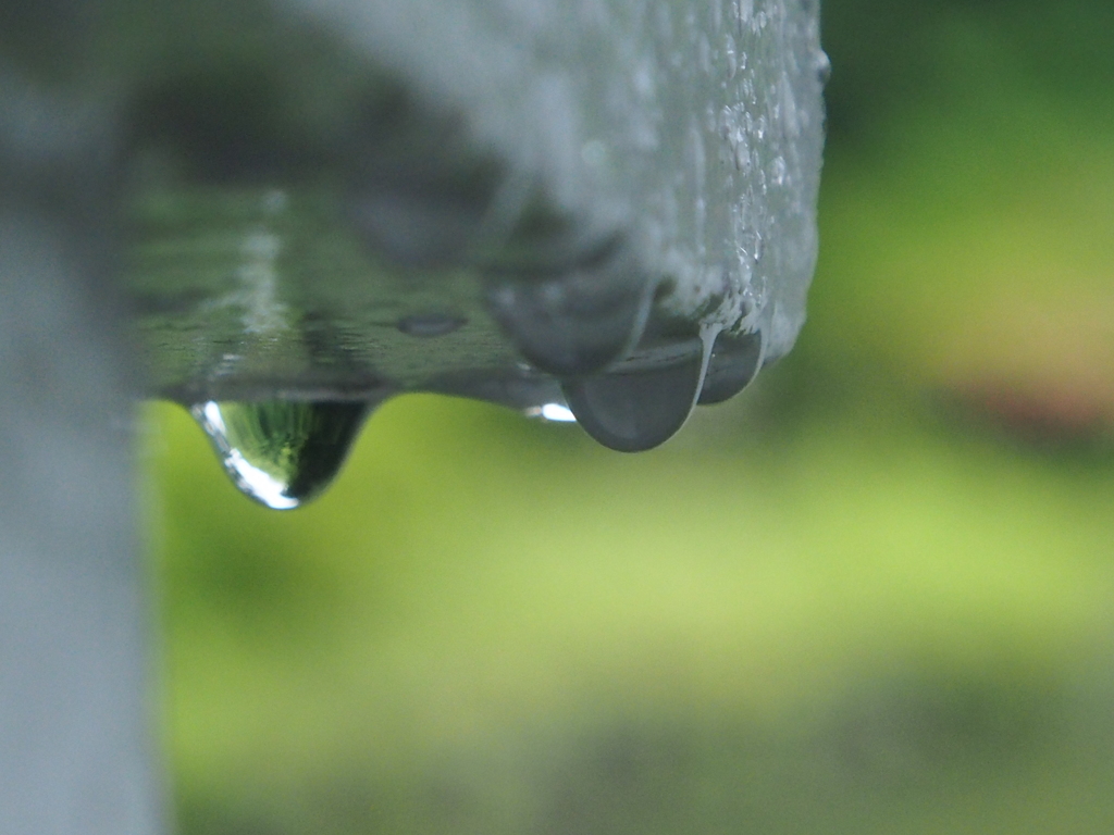 雨の公園