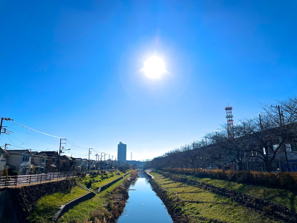 元旦笹目川