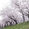熊谷万平公園