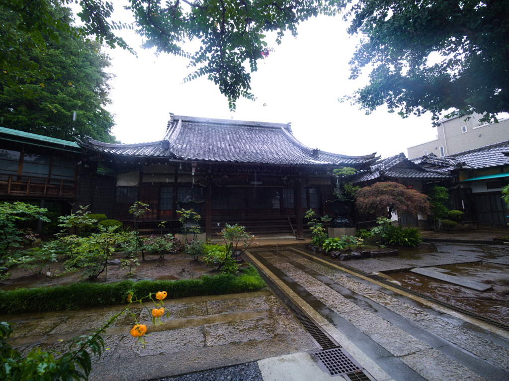 梅雨のお寺