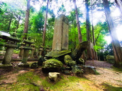 月照寺の大亀