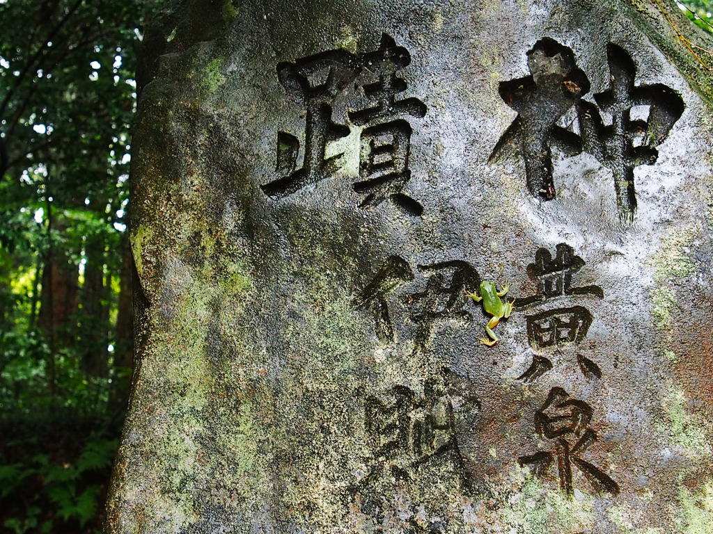 黄泉平坂と蛙