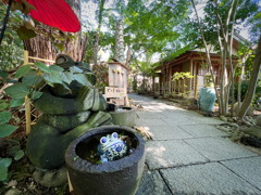 かえる寺