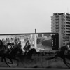 川崎競馬場