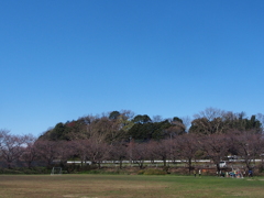 春の東浦和