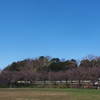 春の東浦和