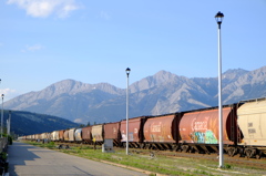 DSCF8910
