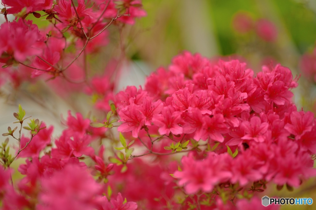 test1
