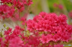 test1