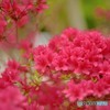 test1
