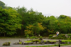 雨の中