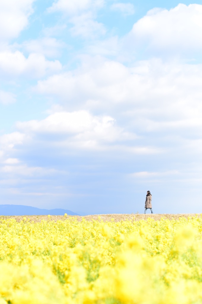 さんぽ