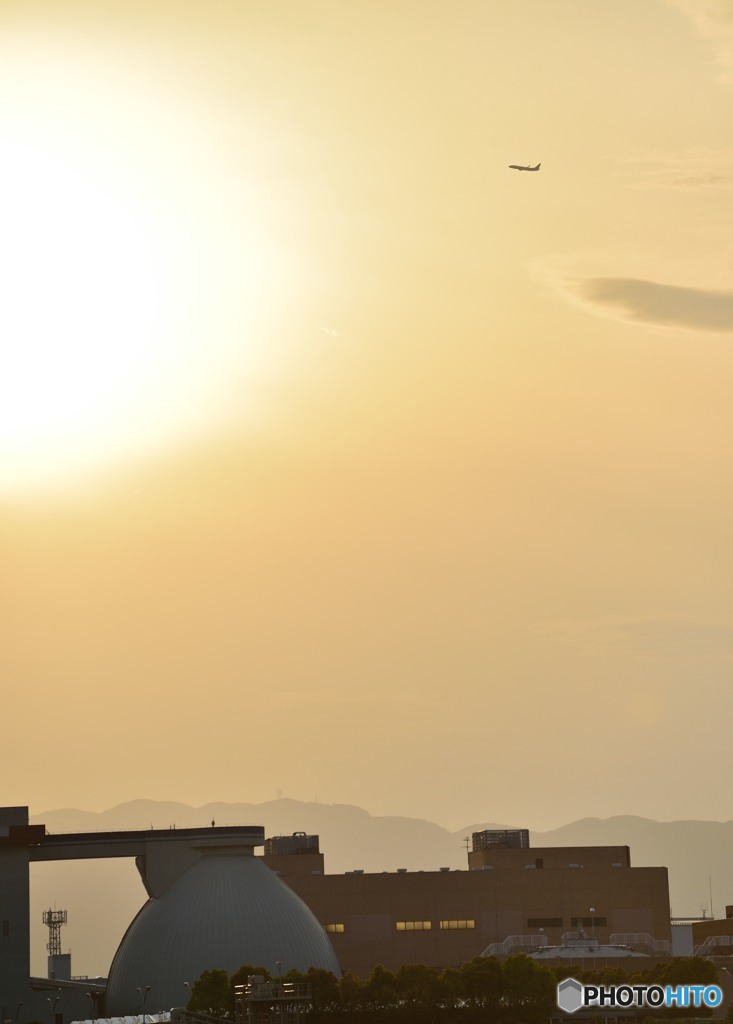 夕陽と飛行機