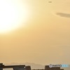 夕陽と飛行機