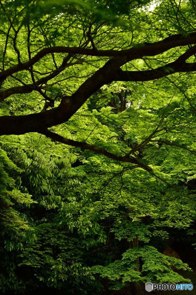 test4