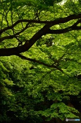 test4