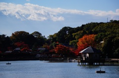 紅葉