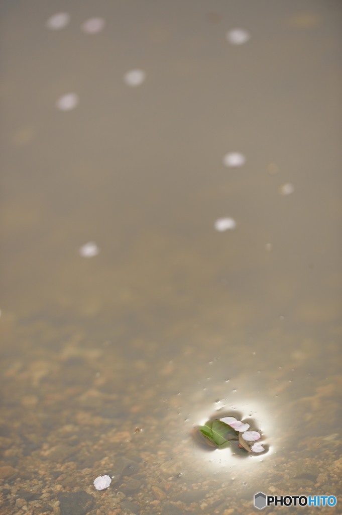 散る