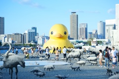 どーーーん！