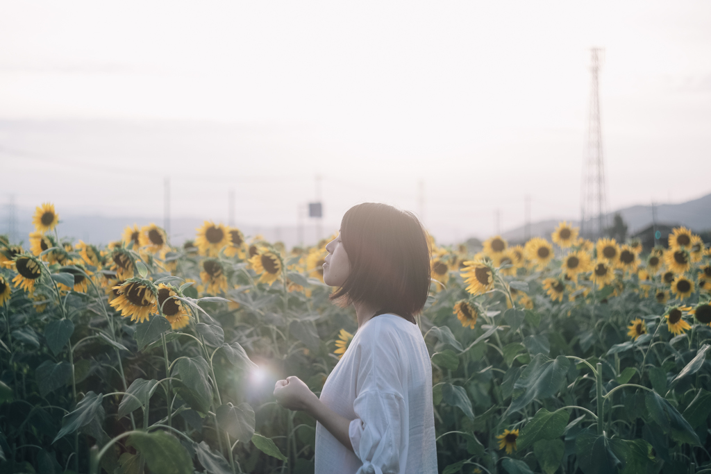 夏花に唄う
