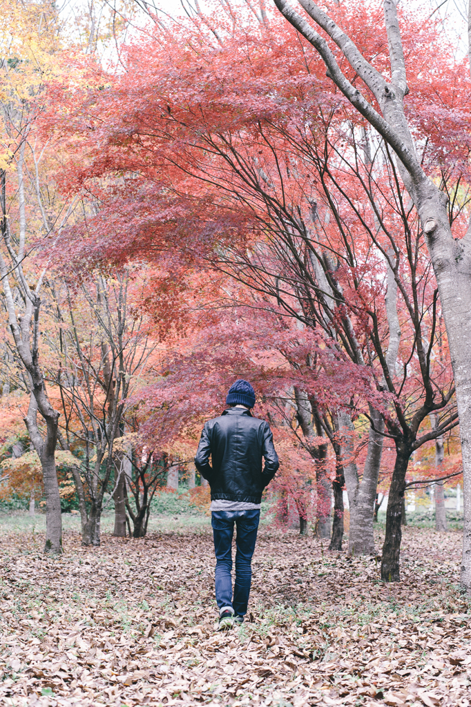 autumn