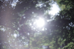 夢じゃない