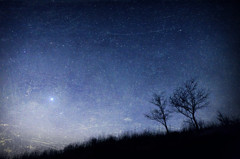 幻夜