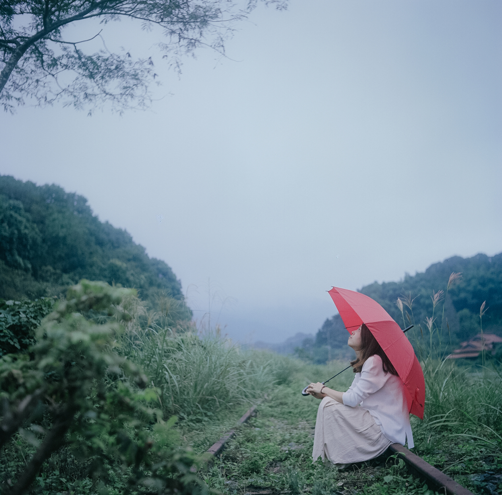 雨と廃線