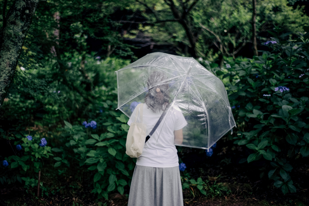 雨の季節の追憶