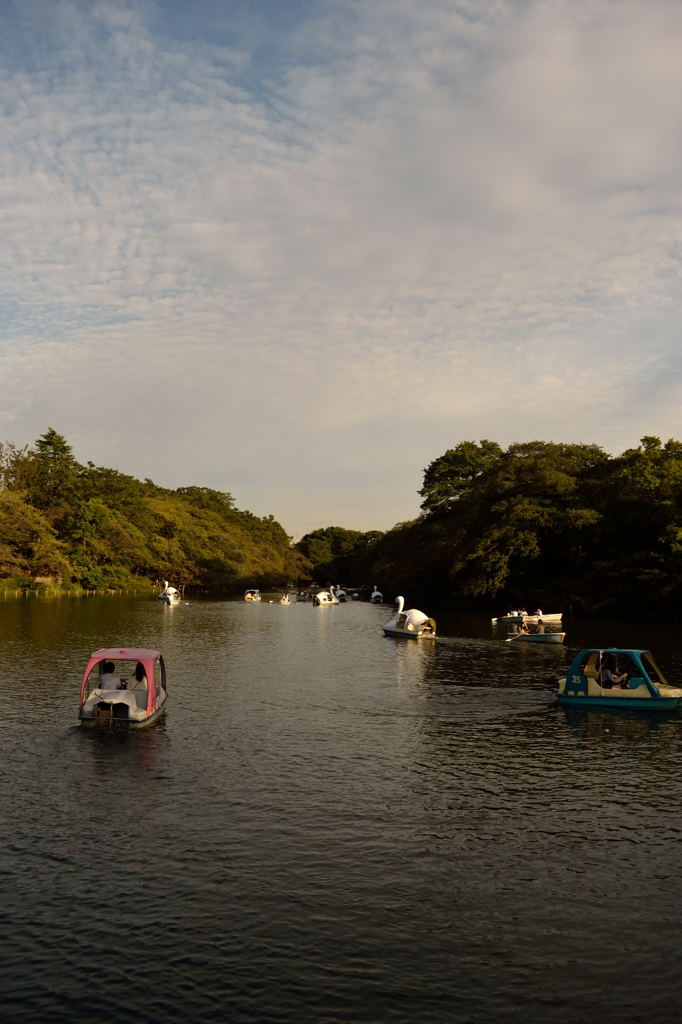 公園のボート