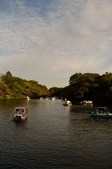 公園のボート