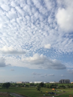秋の空