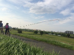 秋空と凧
