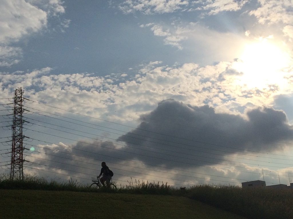 夕方の河川敷