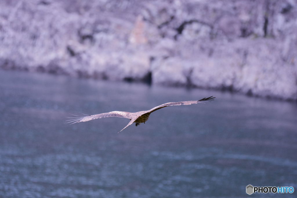 滑空