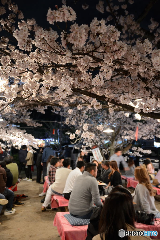 花見気分
