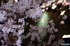 春夜