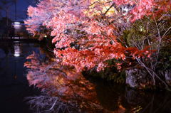 紅葉と鏡３