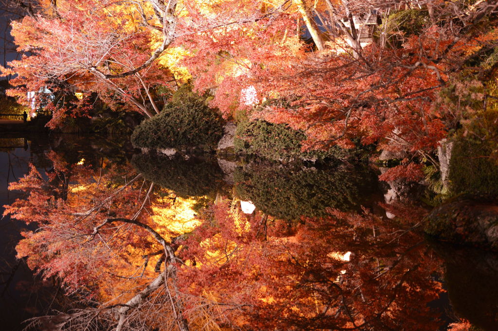 紅葉と鏡２