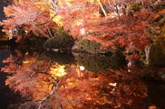 紅葉と鏡２