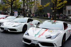 イタリアンカラー？