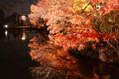 紅葉よ鏡１